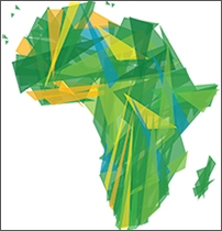 Capital Flight from Africa: Channels, Actors, Enablers